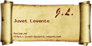 Juvet Levente névjegykártya