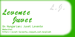 levente juvet business card